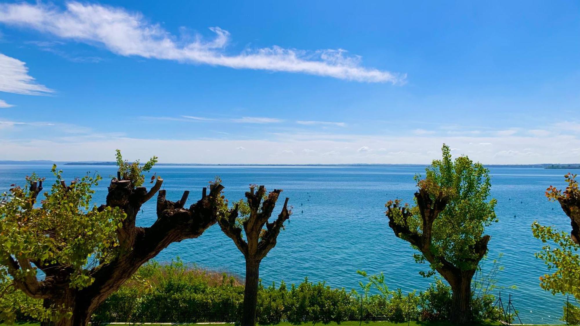Campeggio Della Colombaia Padenghe sul Garda Exterior foto