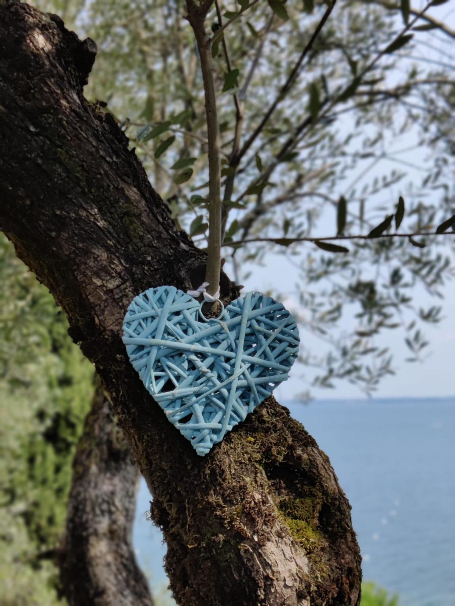 Campeggio Della Colombaia Padenghe sul Garda Exterior foto