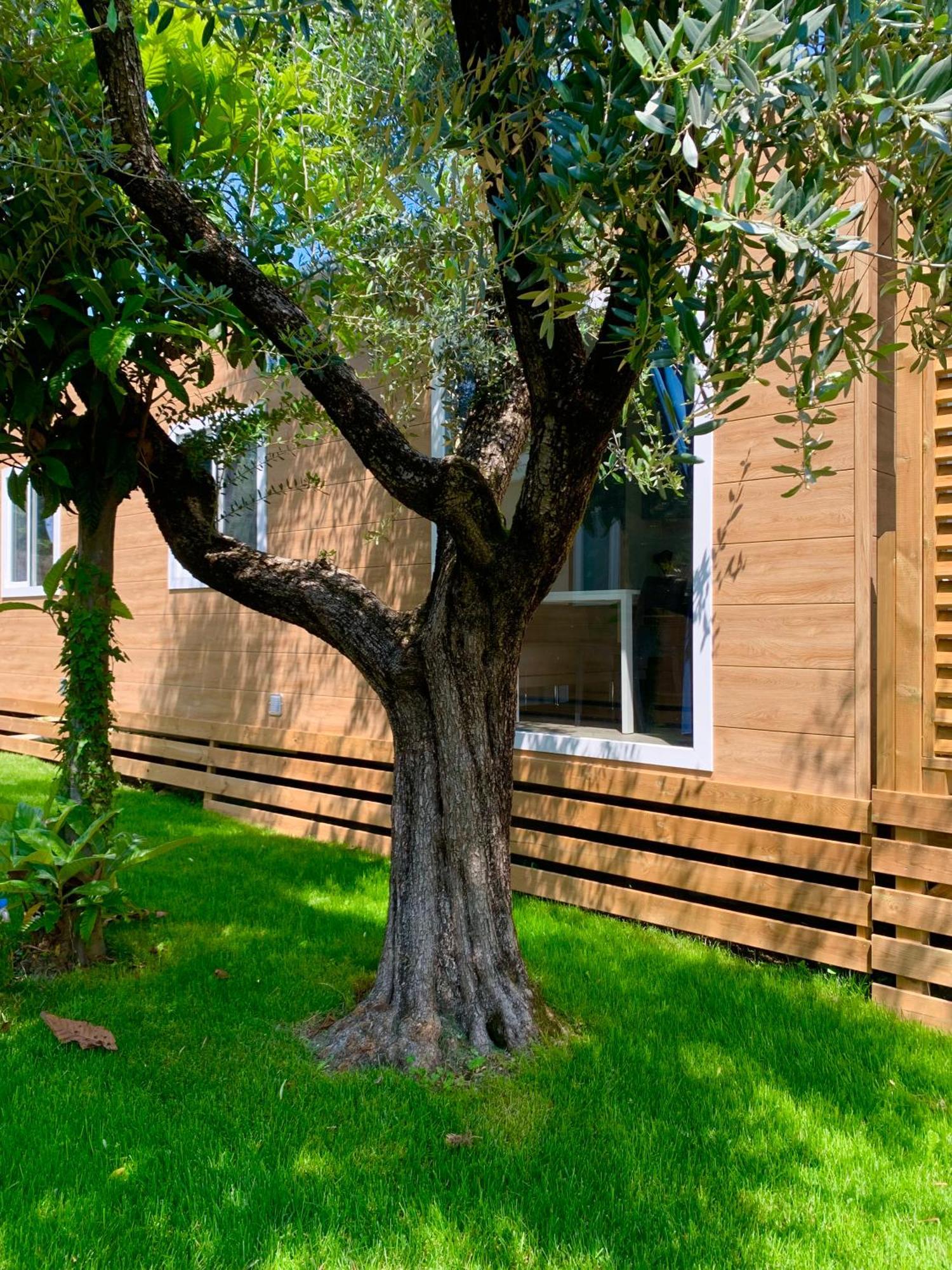 Campeggio Della Colombaia Padenghe sul Garda Exterior foto